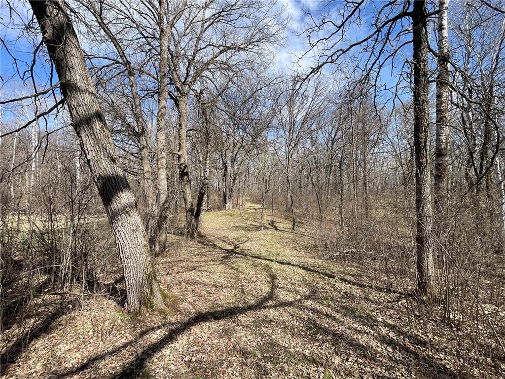 TBD 340th Street SE Brandsvold Twp MN 56542 7071523 image47