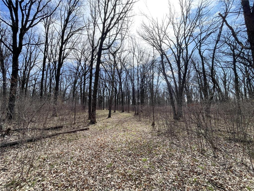TBD 340th Street SE Brandsvold Twp MN 56542 7071523 image49