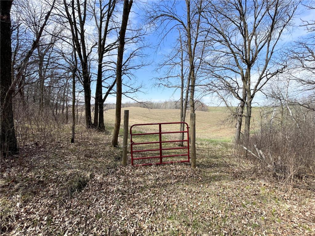 TBD 340th Street SE Brandsvold Twp MN 56542 7071523 image50