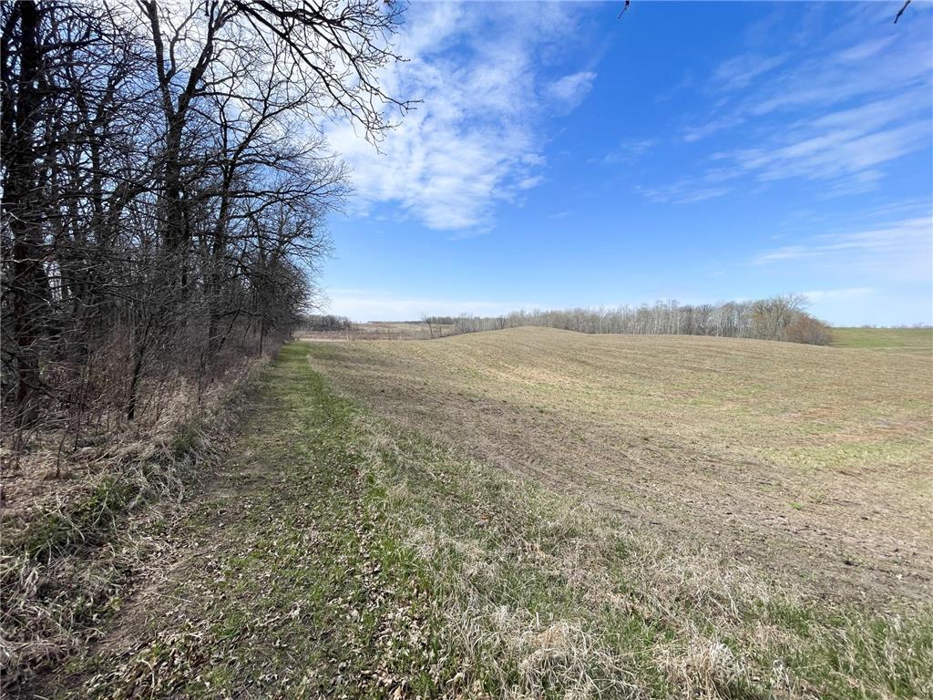 TBD 340th Street SE Brandsvold Twp MN 56542 7071523 image51