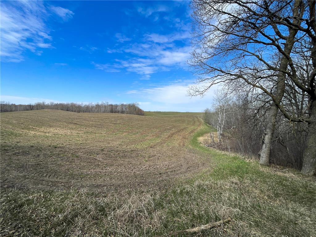 TBD 340th Street SE Brandsvold Twp MN 56542 7071523 image52