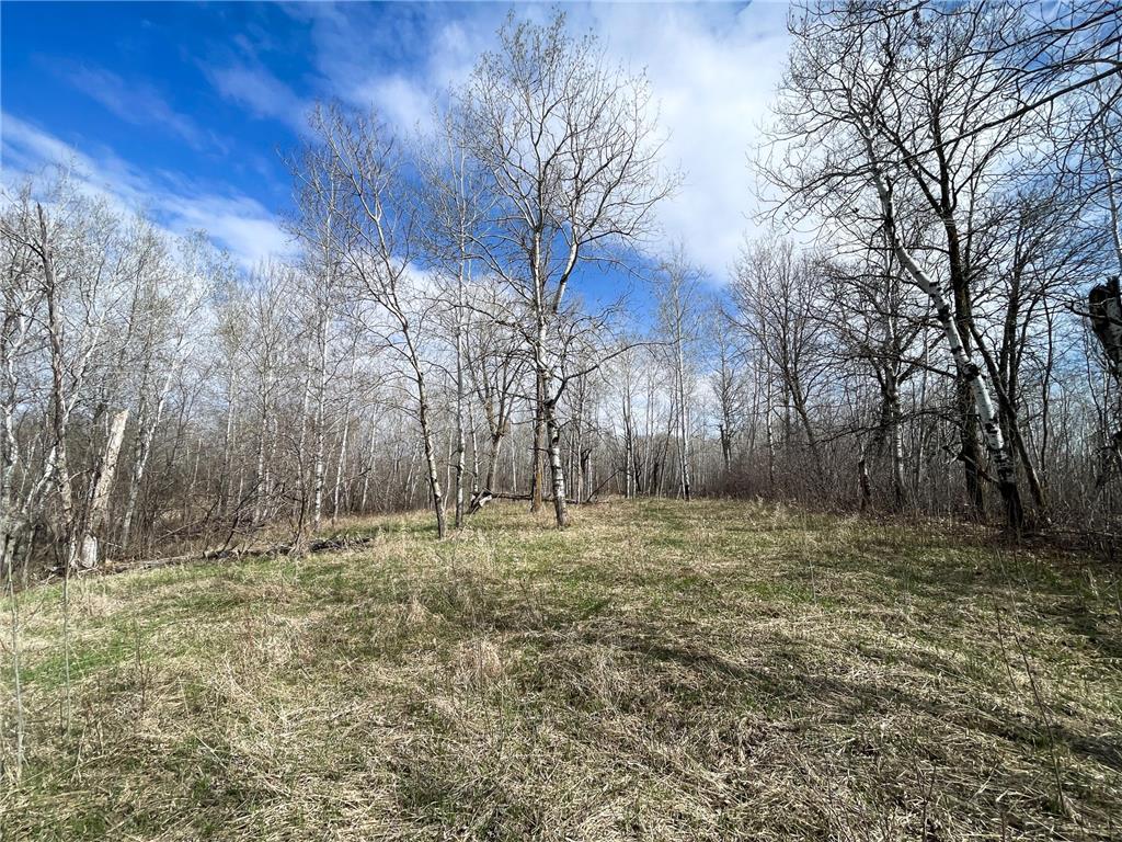 TBD 340th Street SE Brandsvold Twp MN 56542 7071523 image53