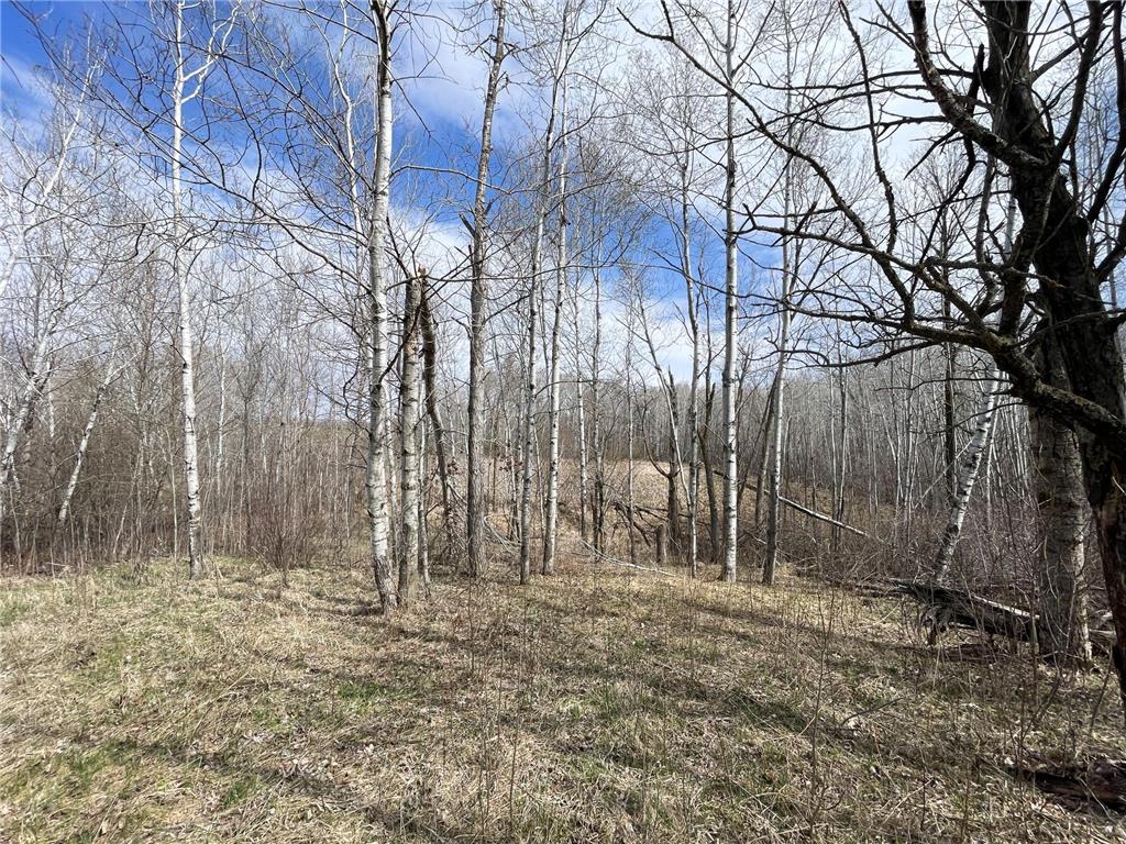 TBD 340th Street SE Brandsvold Twp MN 56542 7071523 image54