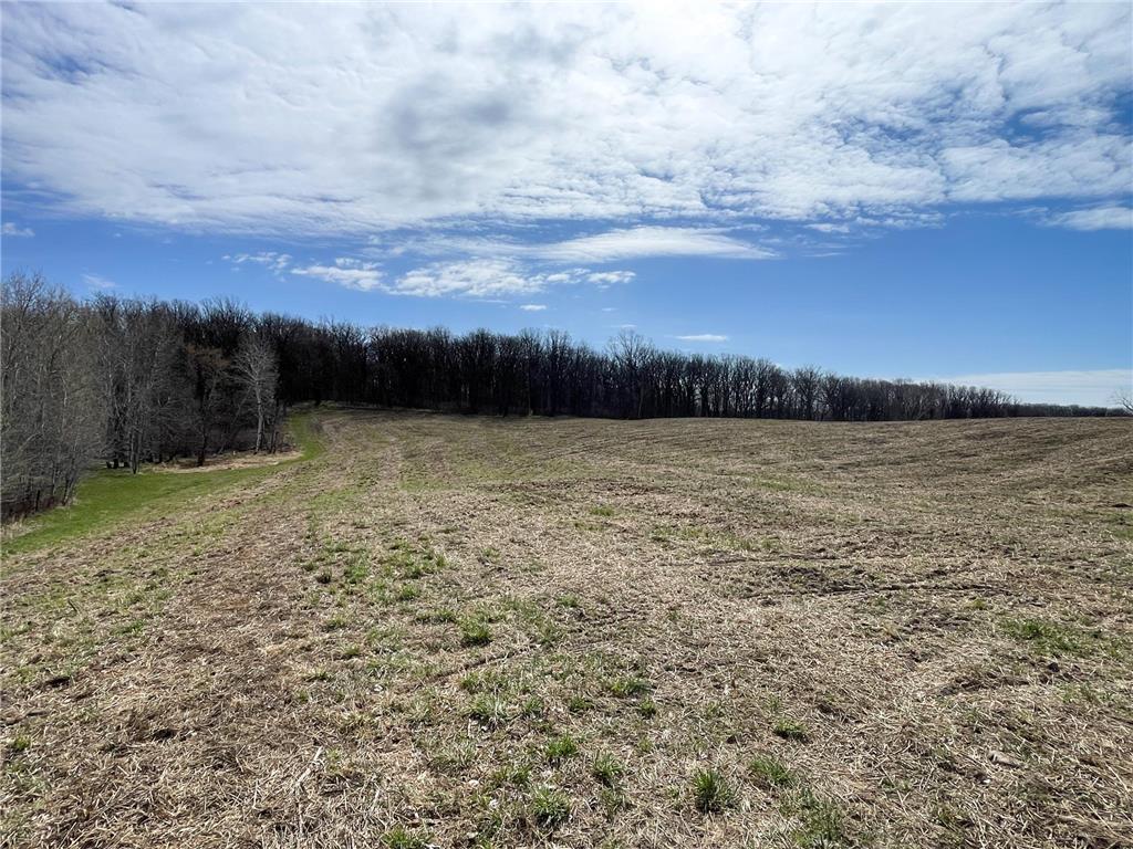 TBD 340th Street SE Brandsvold Twp MN 56542 7071523 image55