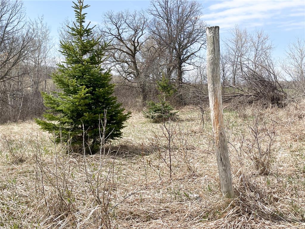TBD 340th Street SE Brandsvold Twp MN 56542 7071523 image56