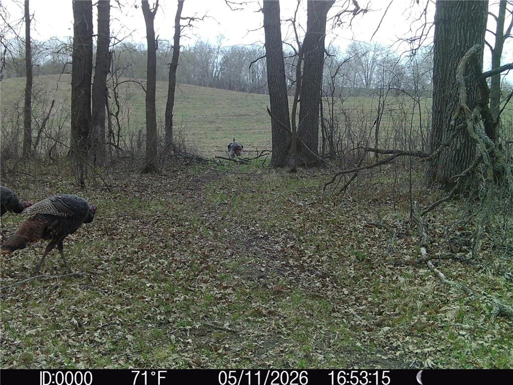 TBD 340th Street SE Brandsvold Twp MN 56542 7071523 image70