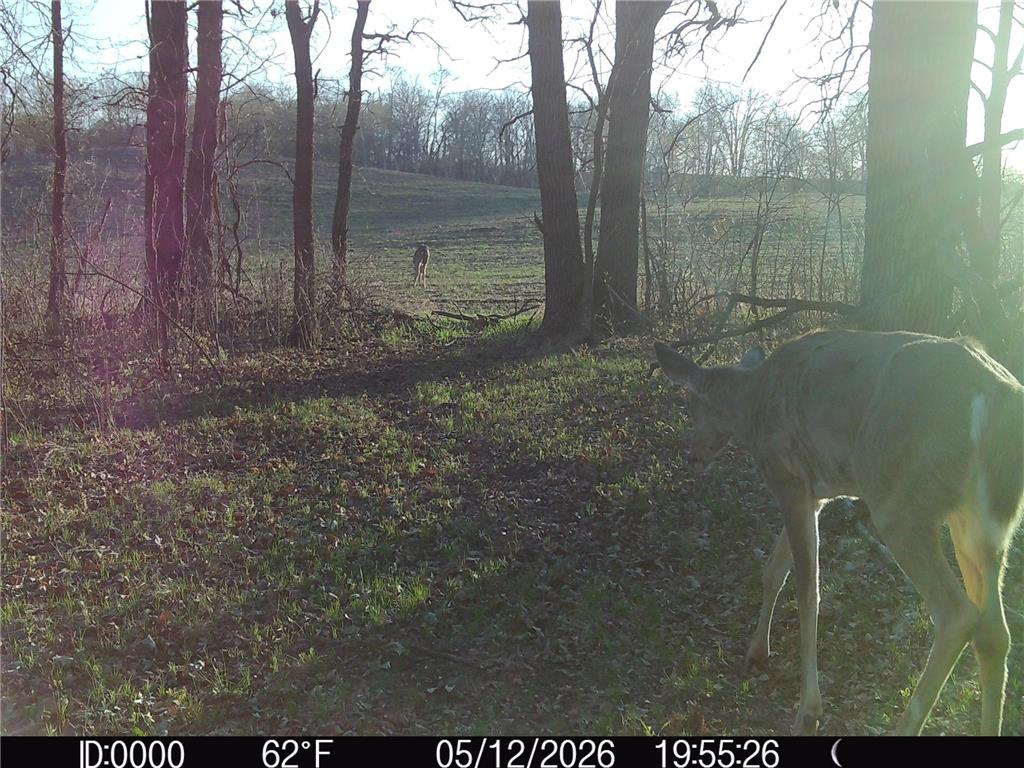 TBD 340th Street SE Brandsvold Twp MN 56542 7071523 image72