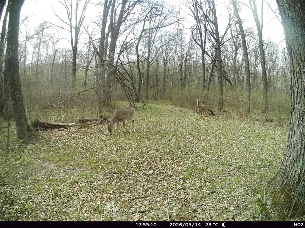 TBD 340th Street SE Brandsvold Twp MN 56542 7071523 image74