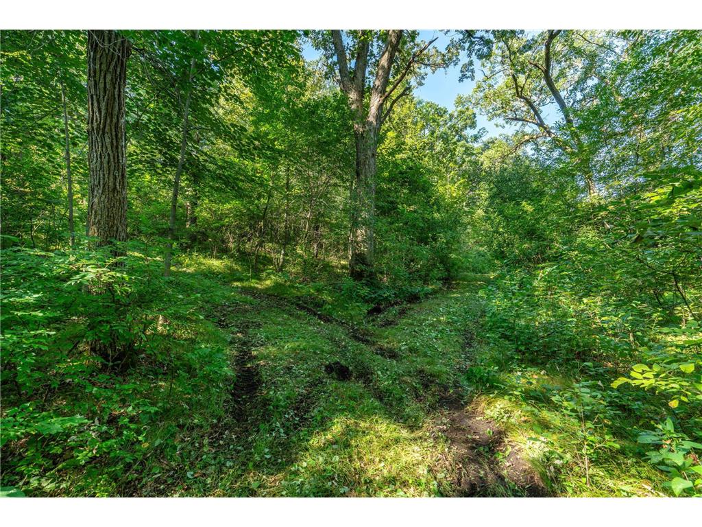 TBD 344TH Avenue Everts Twp MN 56515 - Third Silver 6778716 image21