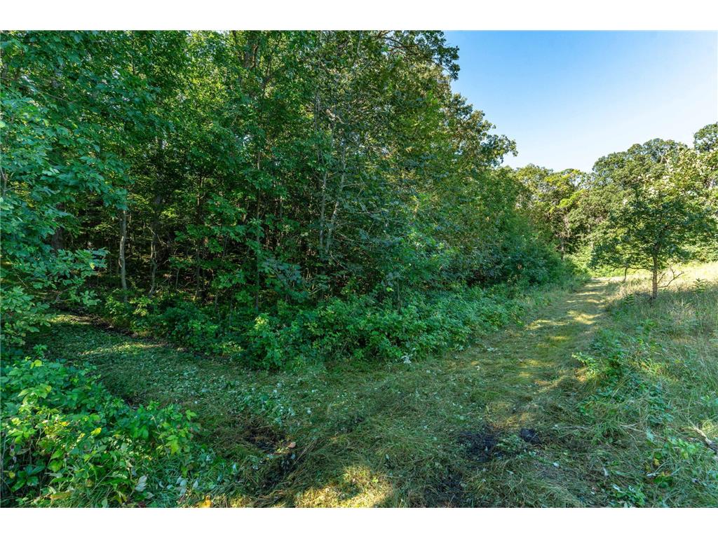 TBD 344TH Avenue Everts Twp MN 56515 - Third Silver 6778716 image23