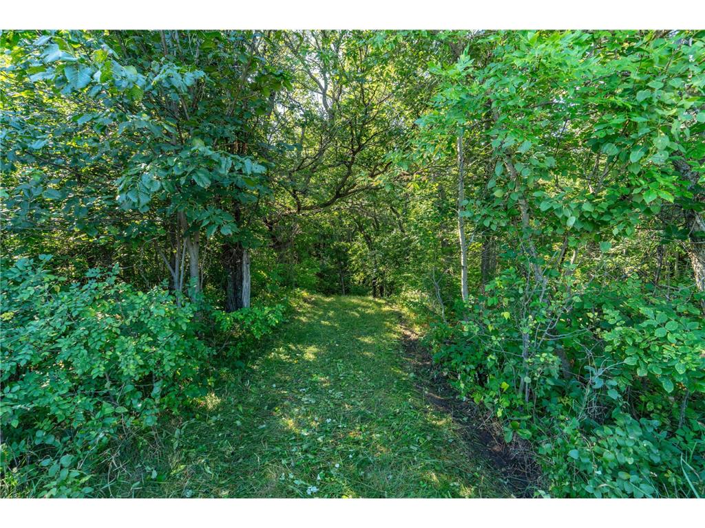 TBD 344TH Avenue Everts Twp MN 56515 - Third Silver 7085637 image19