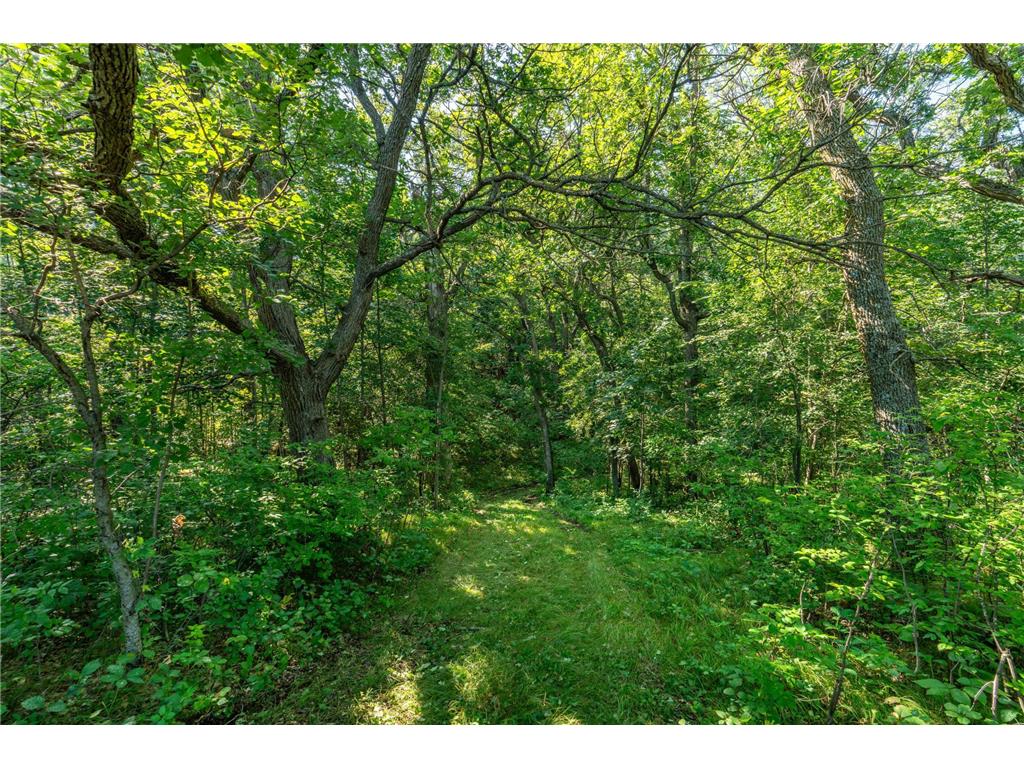 TBD 344TH Avenue Everts Twp MN 56515 - Third Silver 7085637 image20
