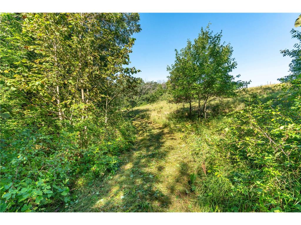 TBD 344TH Avenue Everts Twp MN 56515 - Third Silver 7085637 image22