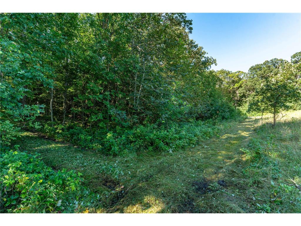 TBD 344TH Avenue Everts Twp MN 56515 - Third Silver 7085637 image23