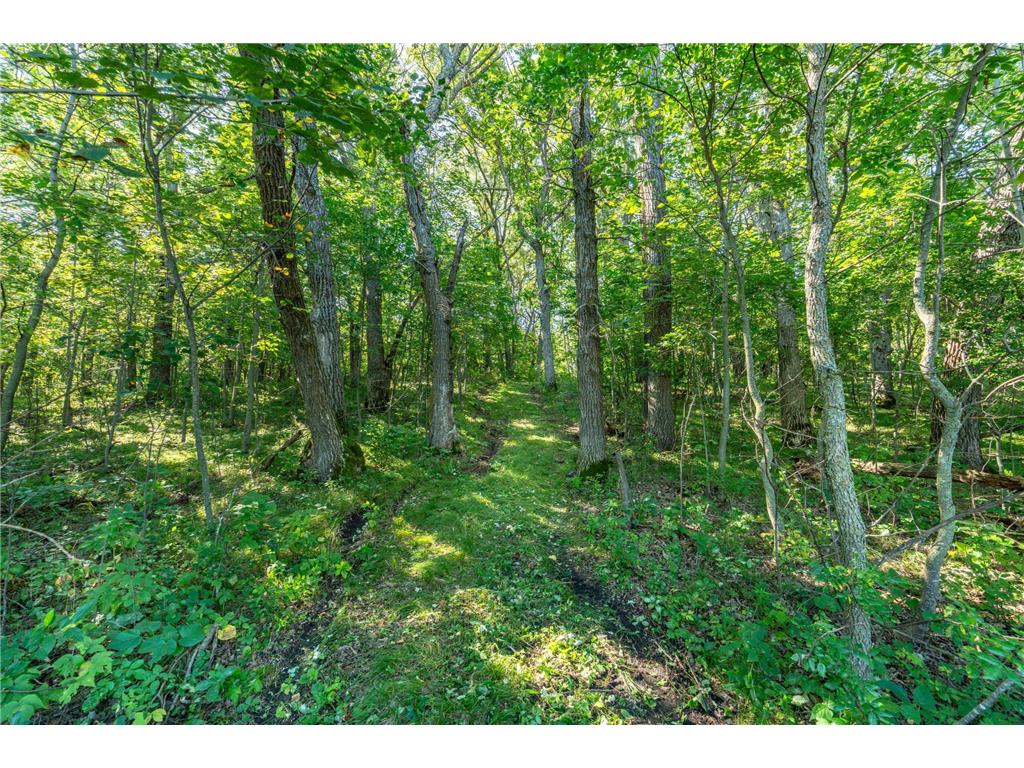 TBD 344TH Avenue Everts Twp MN 56515 - Third Silver 7085637 image24