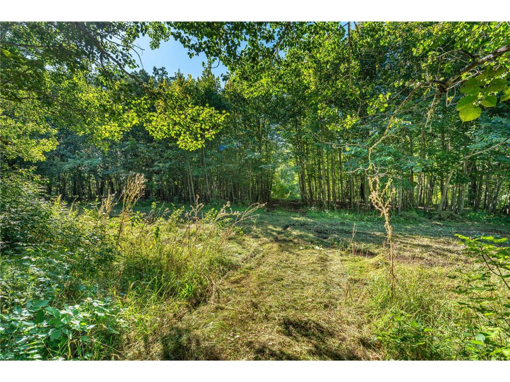 TBD 344TH Avenue Everts Twp MN 56515 - Third Silver 7085637 image25