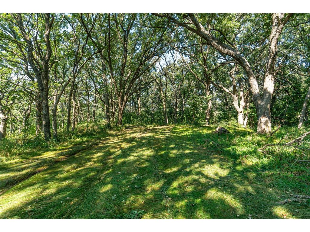 TBD 344TH Avenue Everts Twp MN 56515 - Third Silver 7085637 image28