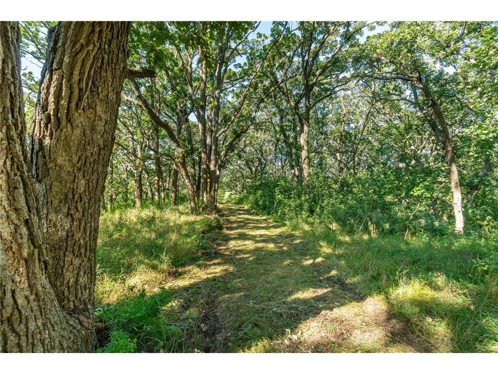TBD 344TH Avenue Everts Twp MN 56515 - Third Silver 7085637 image29
