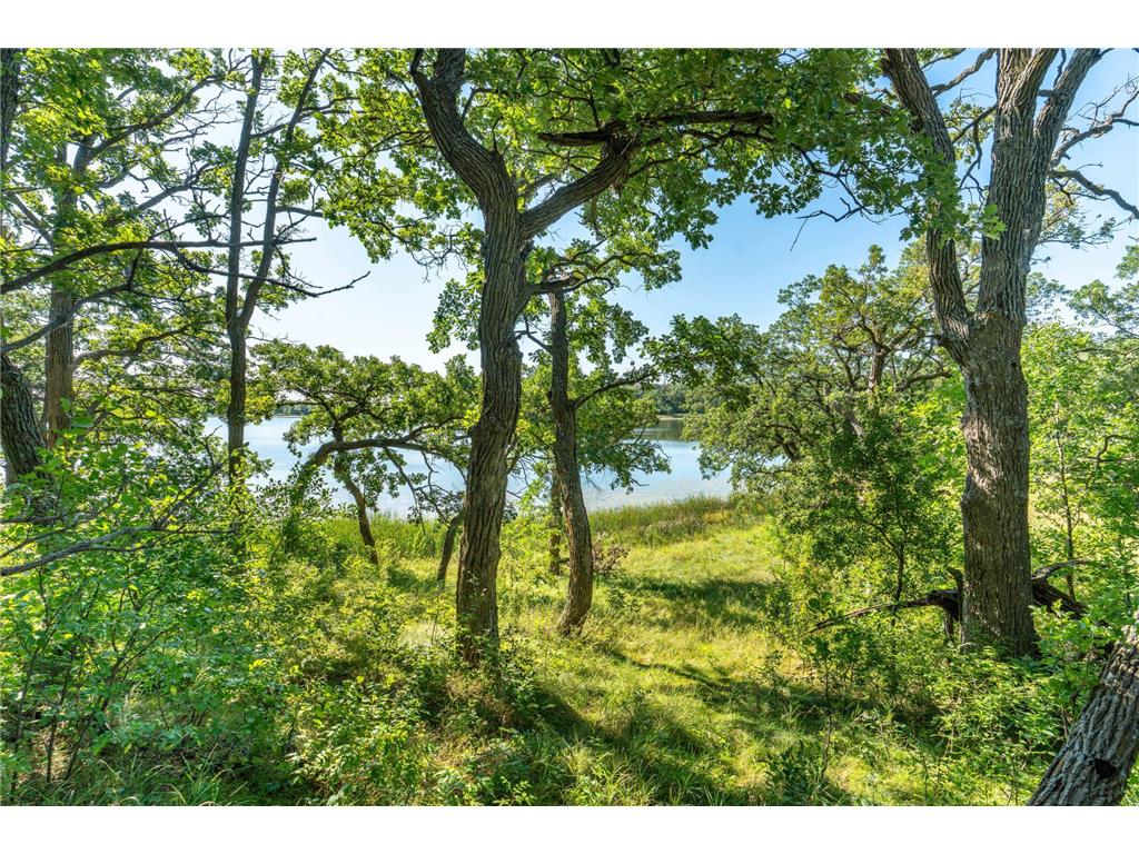 TBD 344TH Avenue Everts Twp MN 56515 - Third Silver 7085637 image30