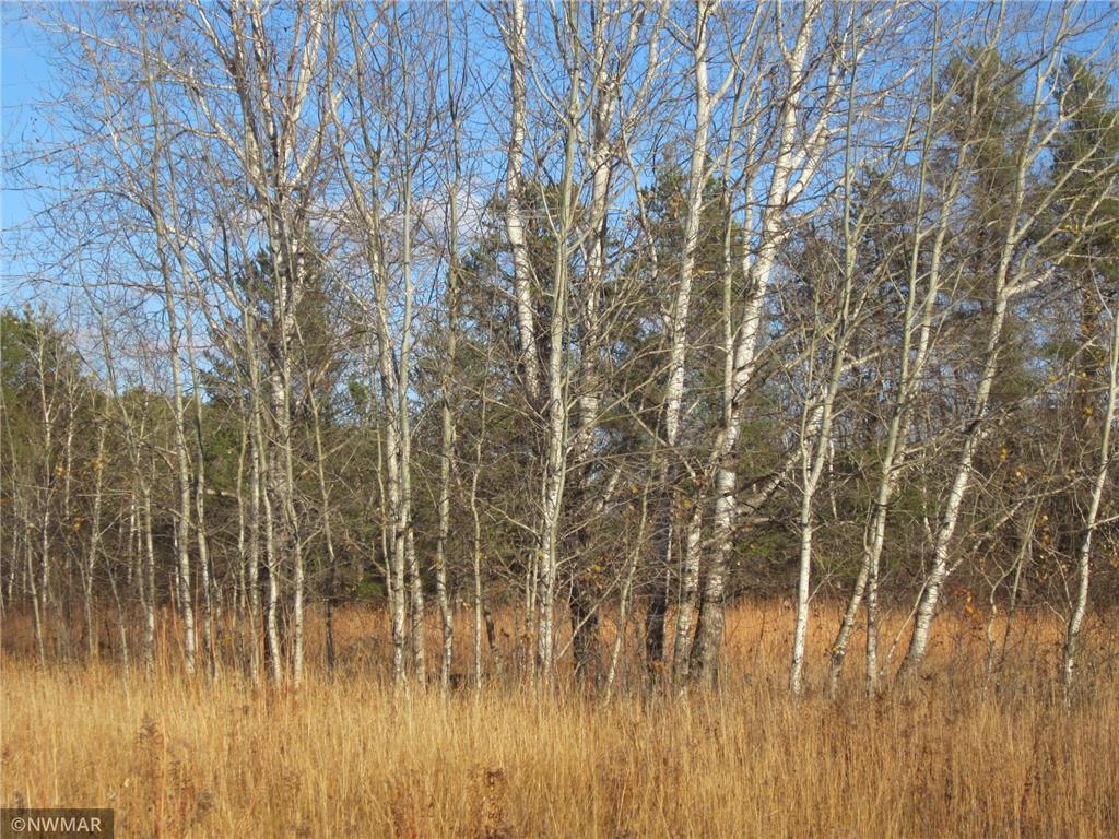 TBD 346th St Hendrickson Twp MN 56461 6303047 image1