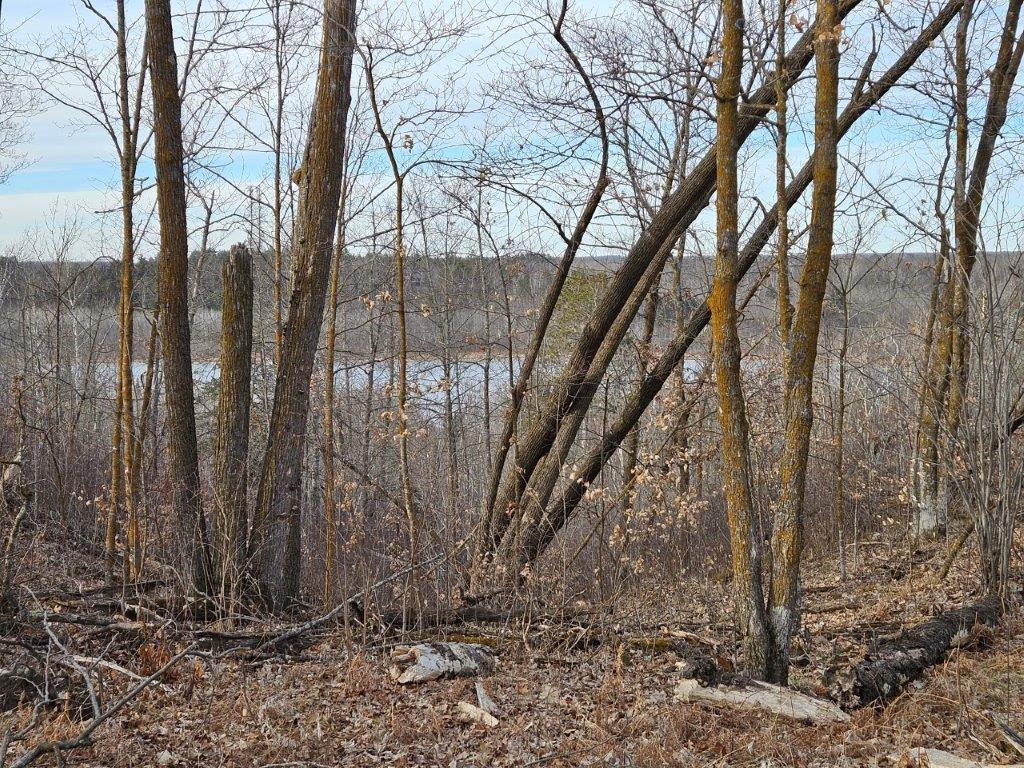 TBD 346th Street Bagley MN 56621 6507414 image1