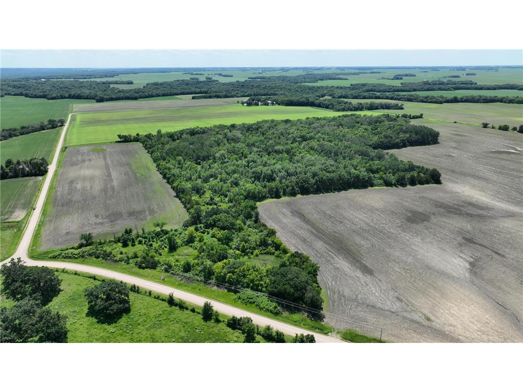 TBD 348th Street Lake Prairie Twp MN 56058 6742890 image1