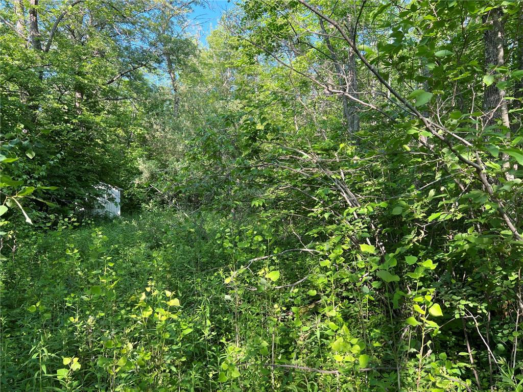 TBD 34th Avenue East Side Twp MN 56342 6389867 image1