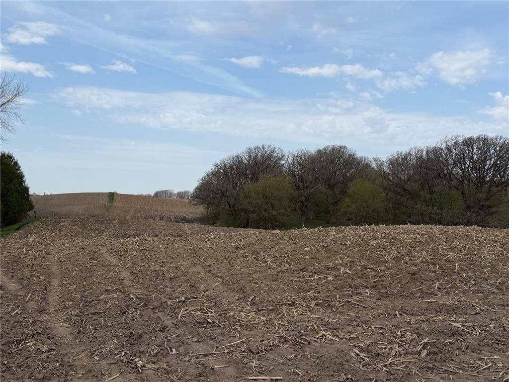 TBD 34th Avenue Somerset Twp MN 55060 7062229 image22
