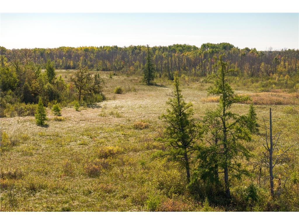 TBD 350th St Onamia MN 56359 6798814 image14