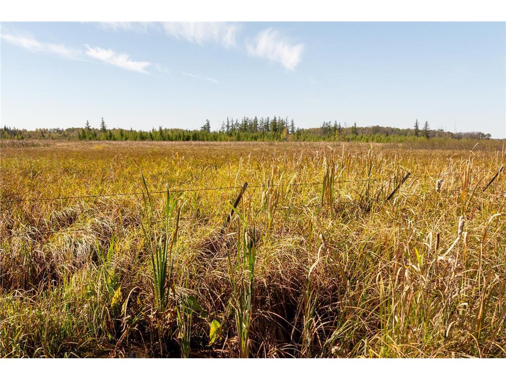 TBD 350th St Onamia MN 56359 6798814 image16