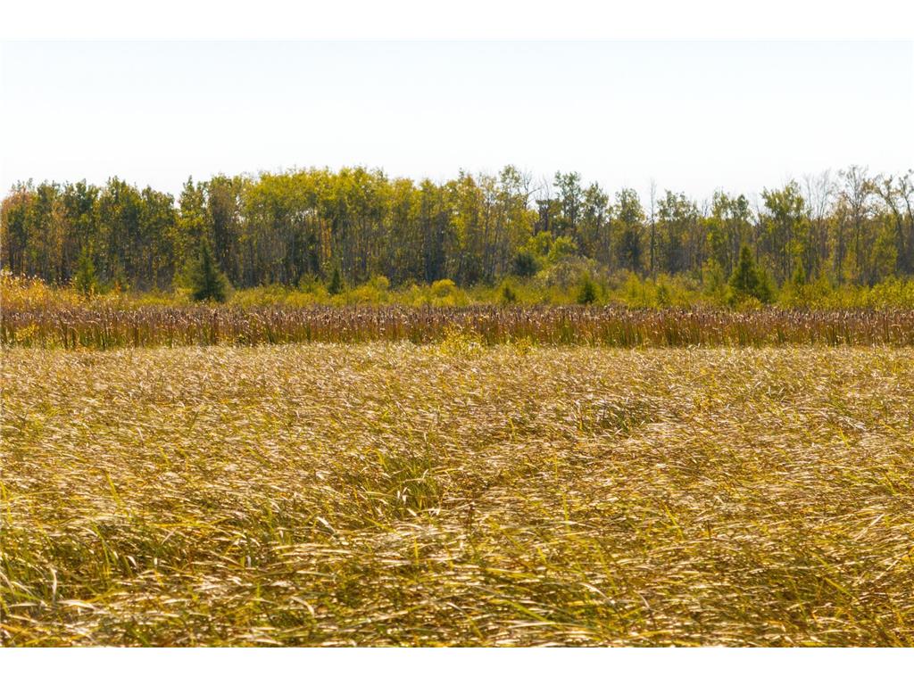 TBD 350th St Onamia MN 56359 6798814 image17