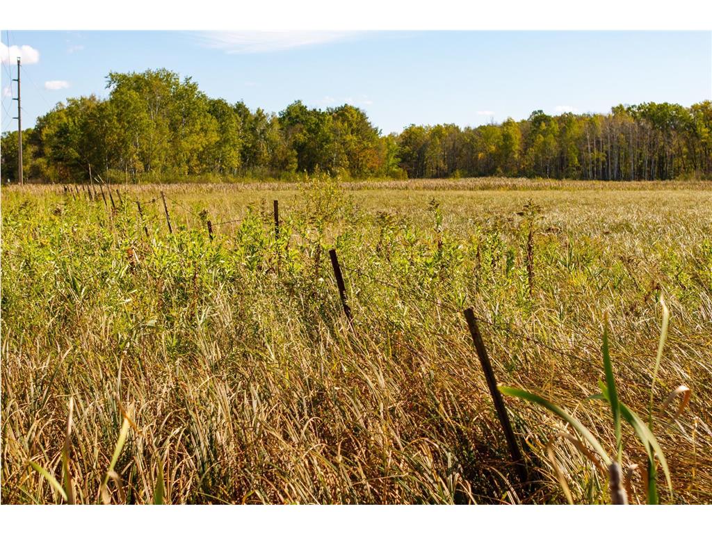 TBD 350th St Onamia MN 56359 6798814 image18