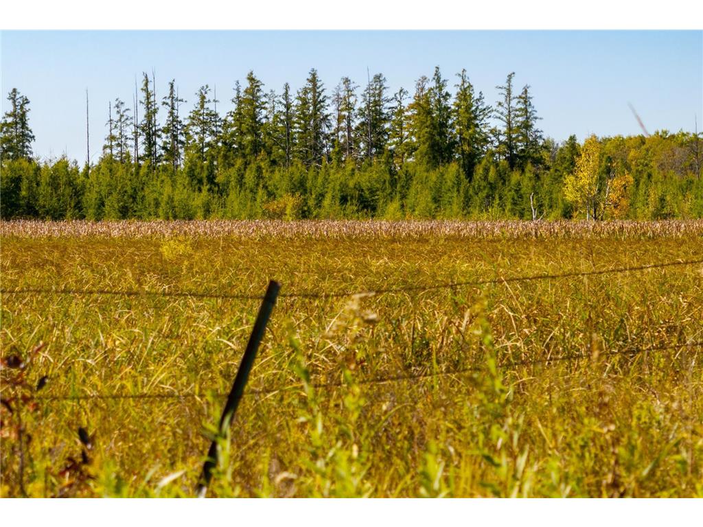 TBD 350th St Onamia MN 56359 6798814 image21