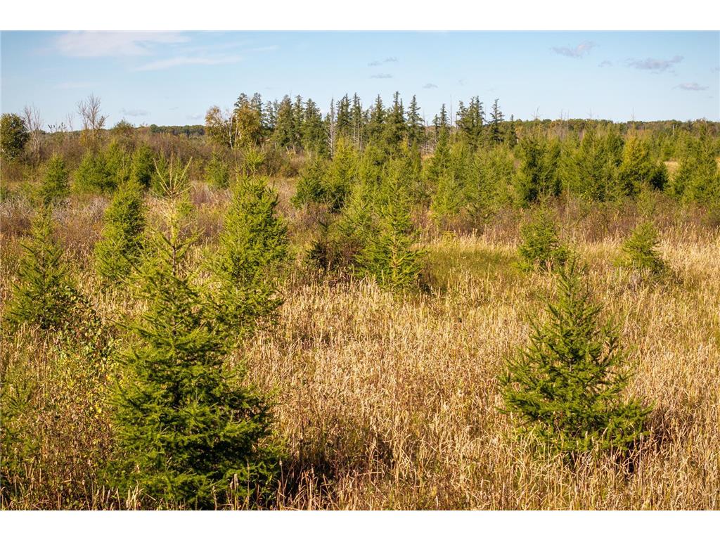 TBD 350th St Onamia MN 56359 6798814 image5