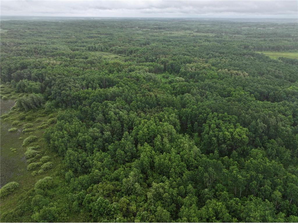 TBD 350th ave Cannon Twp MN 56735 7093421 image10