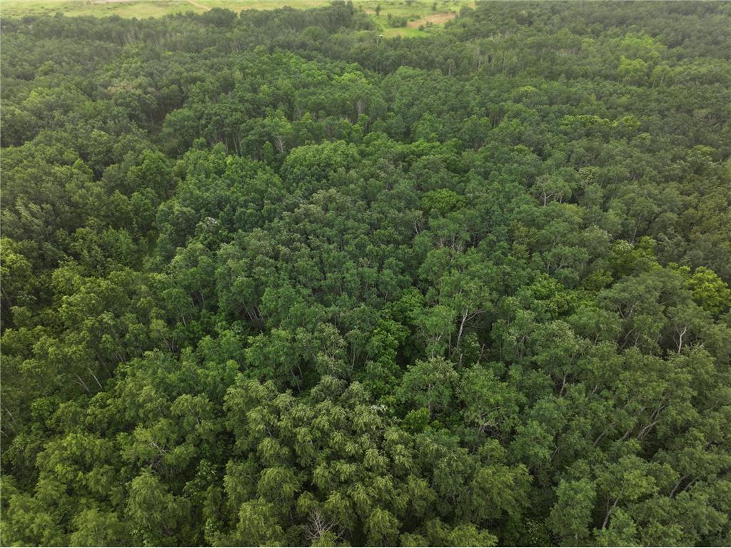 TBD 350th ave Cannon Twp MN 56735 7093421 image11