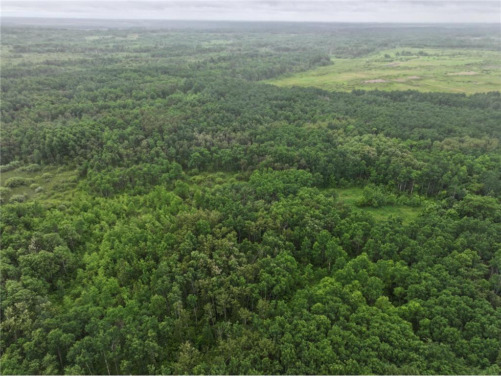 TBD 350th ave Cannon Twp MN 56735 7093421 image12