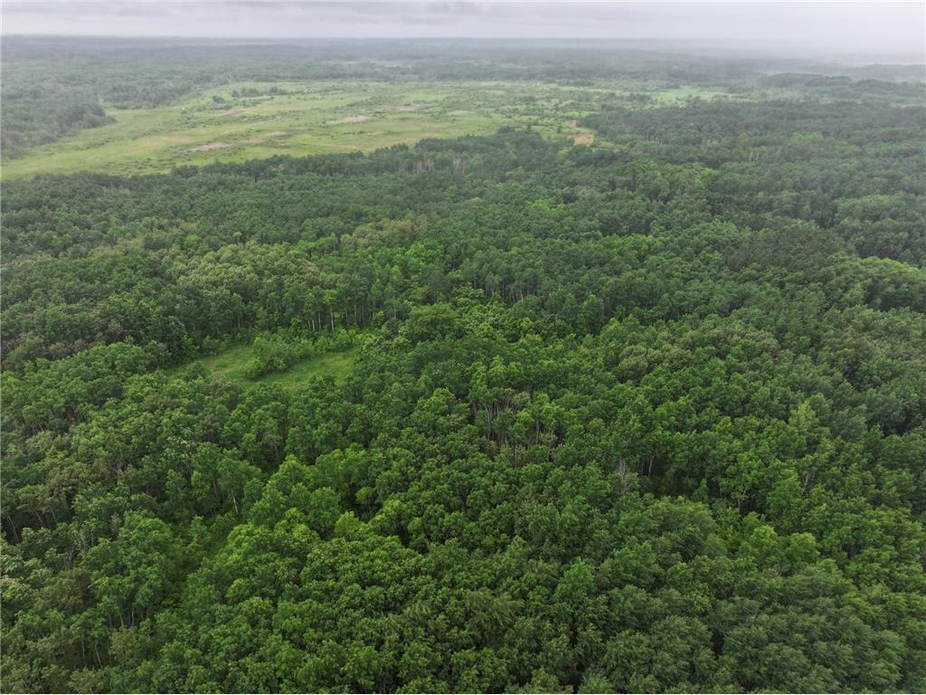 TBD 350th ave Cannon Twp MN 56735 7093421 image13
