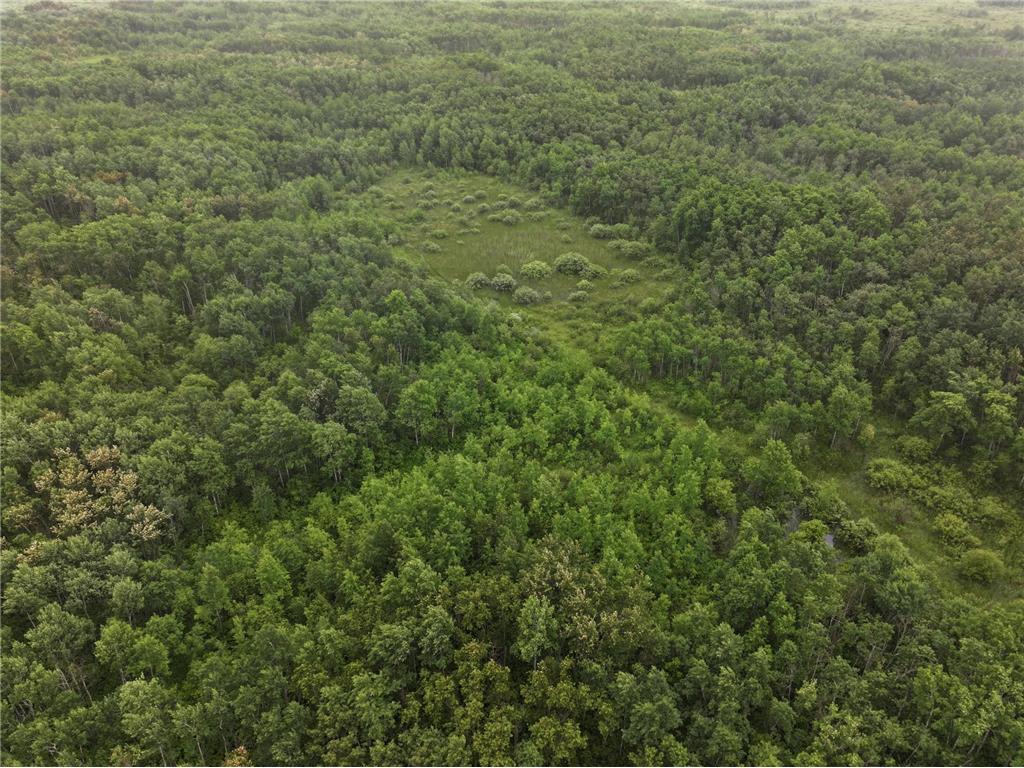 TBD 350th ave Cannon Twp MN 56735 7093421 image14