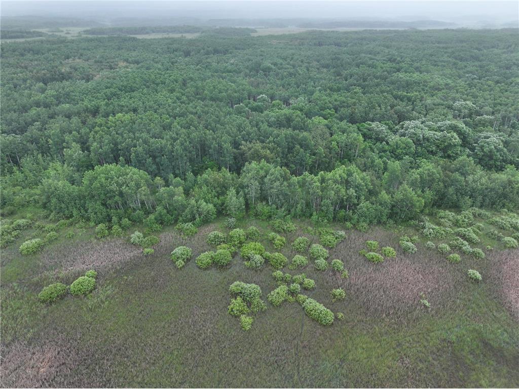 TBD 350th ave Cannon Twp MN 56735 7093421 image15