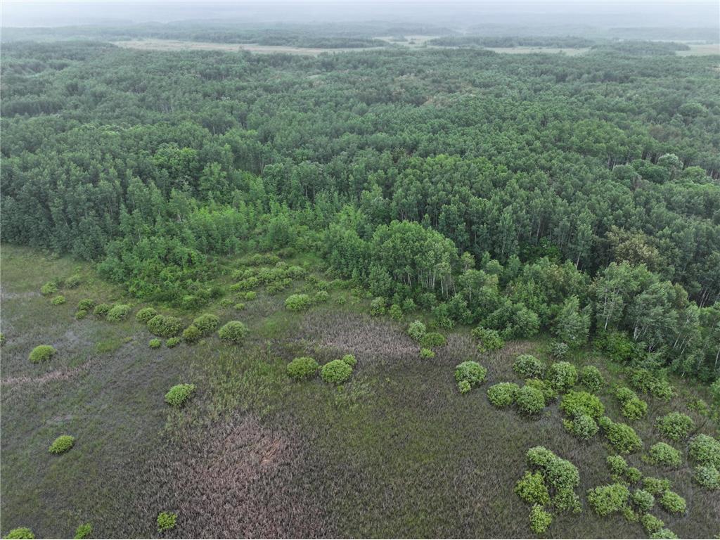 TBD 350th ave Cannon Twp MN 56735 7093421 image16