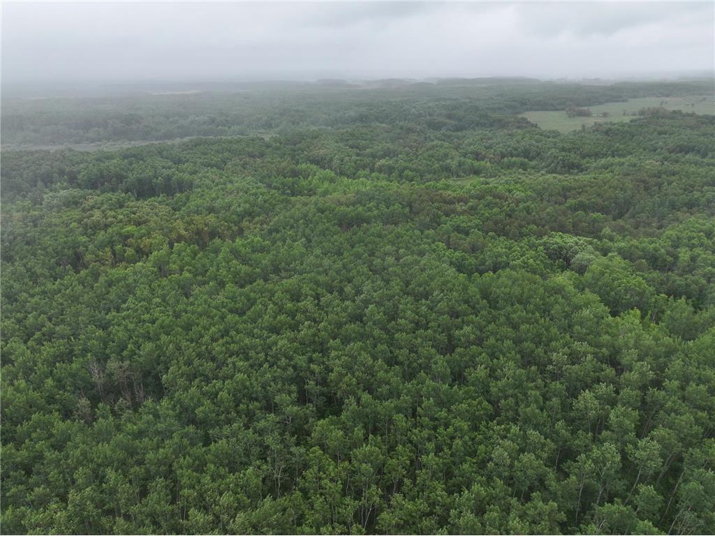 TBD 350th ave Cannon Twp MN 56735 7093421 image17