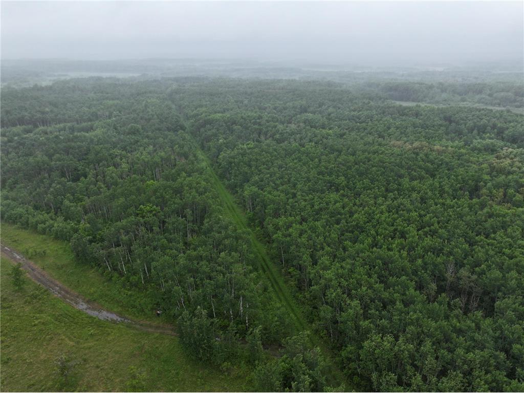 TBD 350th ave Cannon Twp MN 56735 7093421 image18
