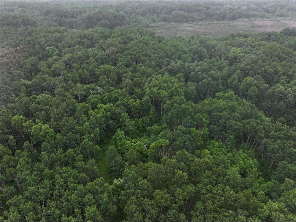 TBD 350th ave Cannon Twp MN 56735 7093421 image19