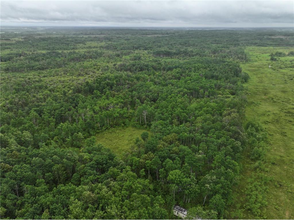 TBD 350th ave Cannon Twp MN 56735 7093421 image2