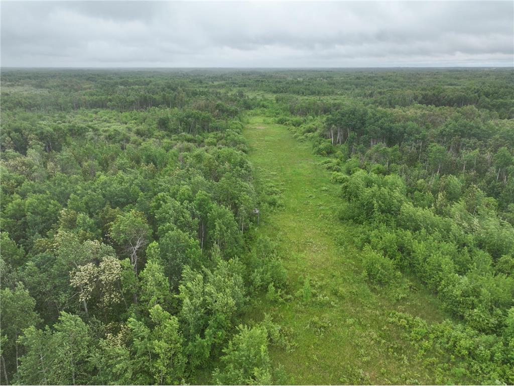 TBD 350th ave Cannon Twp MN 56735 7093421 image3