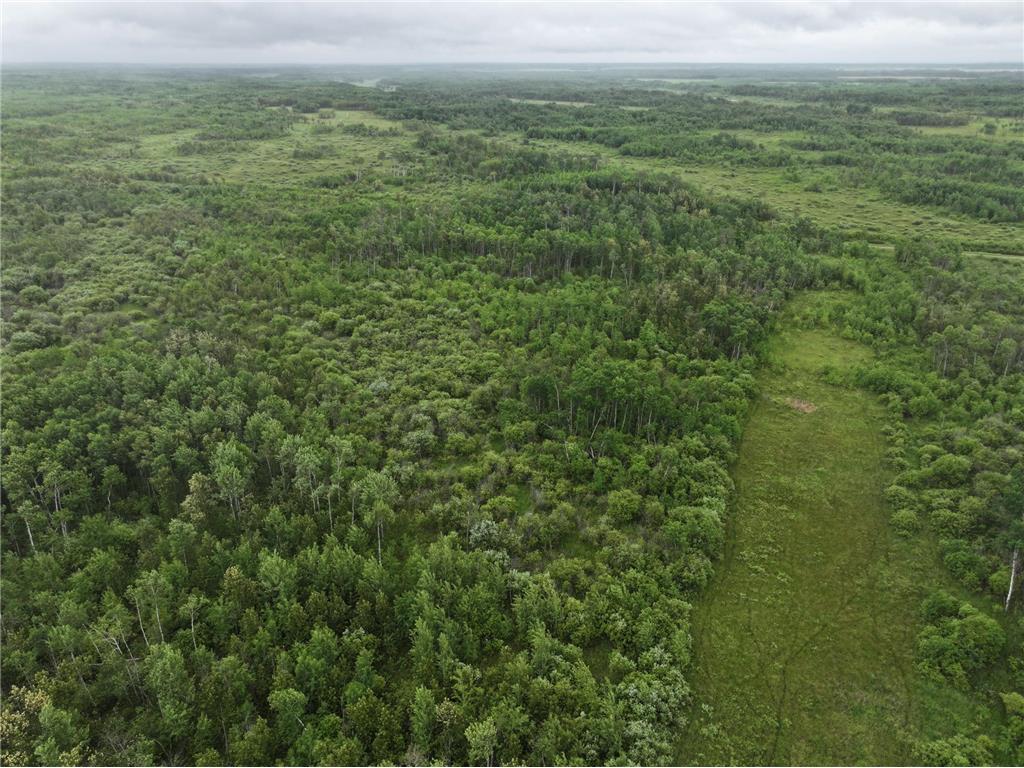 TBD 350th ave Cannon Twp MN 56735 7093421 image4