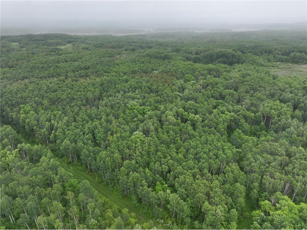 TBD 350th ave Cannon Twp MN 56735 7093421 image6