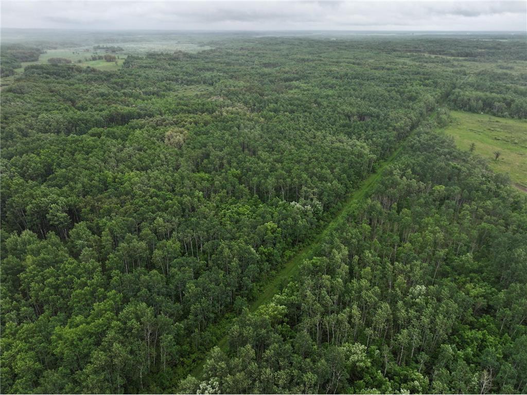 TBD 350th ave Cannon Twp MN 56735 7093421 image8