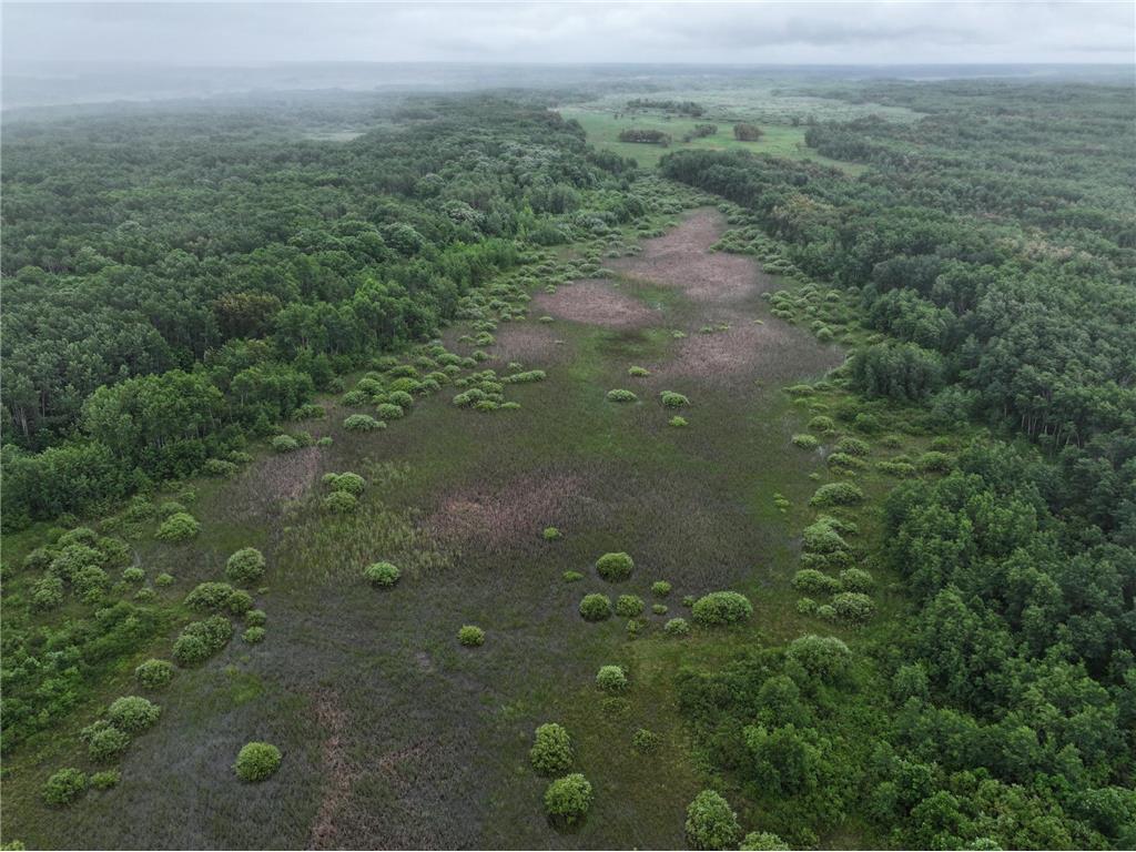 TBD 350th ave Cannon Twp MN 56735 7093421 image9